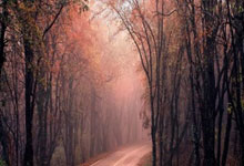 金年会jinnianhui下载:面對世俱杯賽程爭議,國際足聯力求通過對話化解.