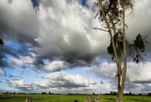 金年会:阿爾特塔:維埃拉是四面出擊的多面手!.