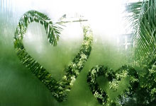 jinnianhui金年会：[亚冬会]杨文龙获得单板滑雪男子大跳台金牌.