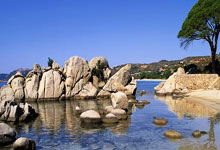 21-22賽季英超聯賽第18輪比賽集錦.